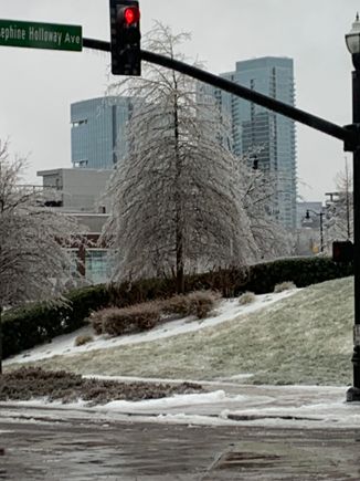 Downtown Nashville didnt lose power and didnt have a lot of big trees. 