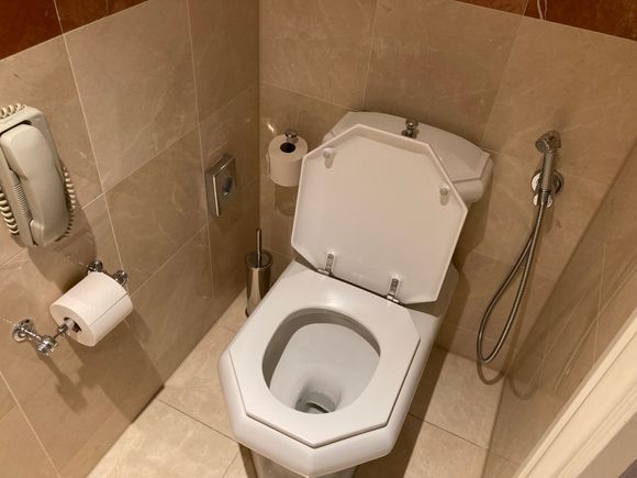 I believe Katara hospitality has for future renovations as a must planned that all renovated rooms but come with a bidet stick to cater to the GCC ME crowds. However gossip was that Ritz Carlton Reserve standard was to introduce the full Japanese toto washlet, as to outsmart the new Rosewood .....!