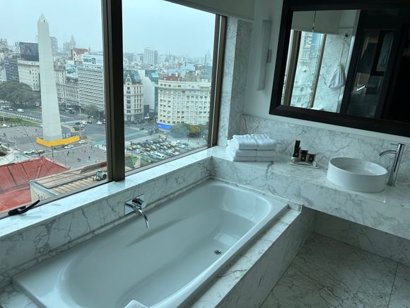 Bathroom with a view