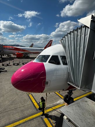 Pink nose on stand at Zurich
