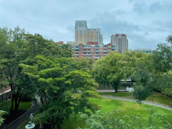 View from the room 