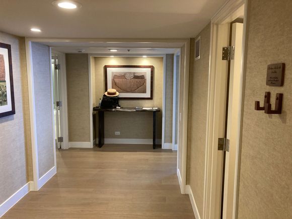 Suite entrance hall way : has T - crossing, left bathroom & bedroom, right the living room 