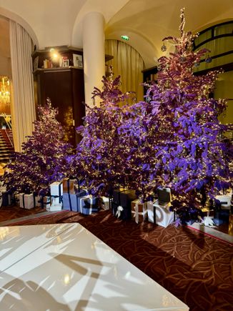 Le Royal Monceau - Raffles Paris (Detail)