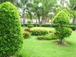 Nakula Park