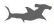 Galapgos Hammerhead Shark