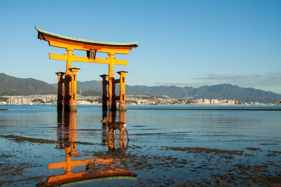 Itsukushima shrine at low tide