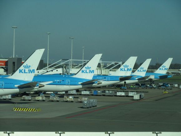 KL E-gate longhaul lineup: B787-900, B787-900, A330-300, B787-800, B777-300.