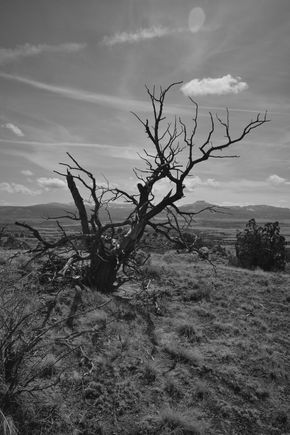 Ghost Ranch, NM