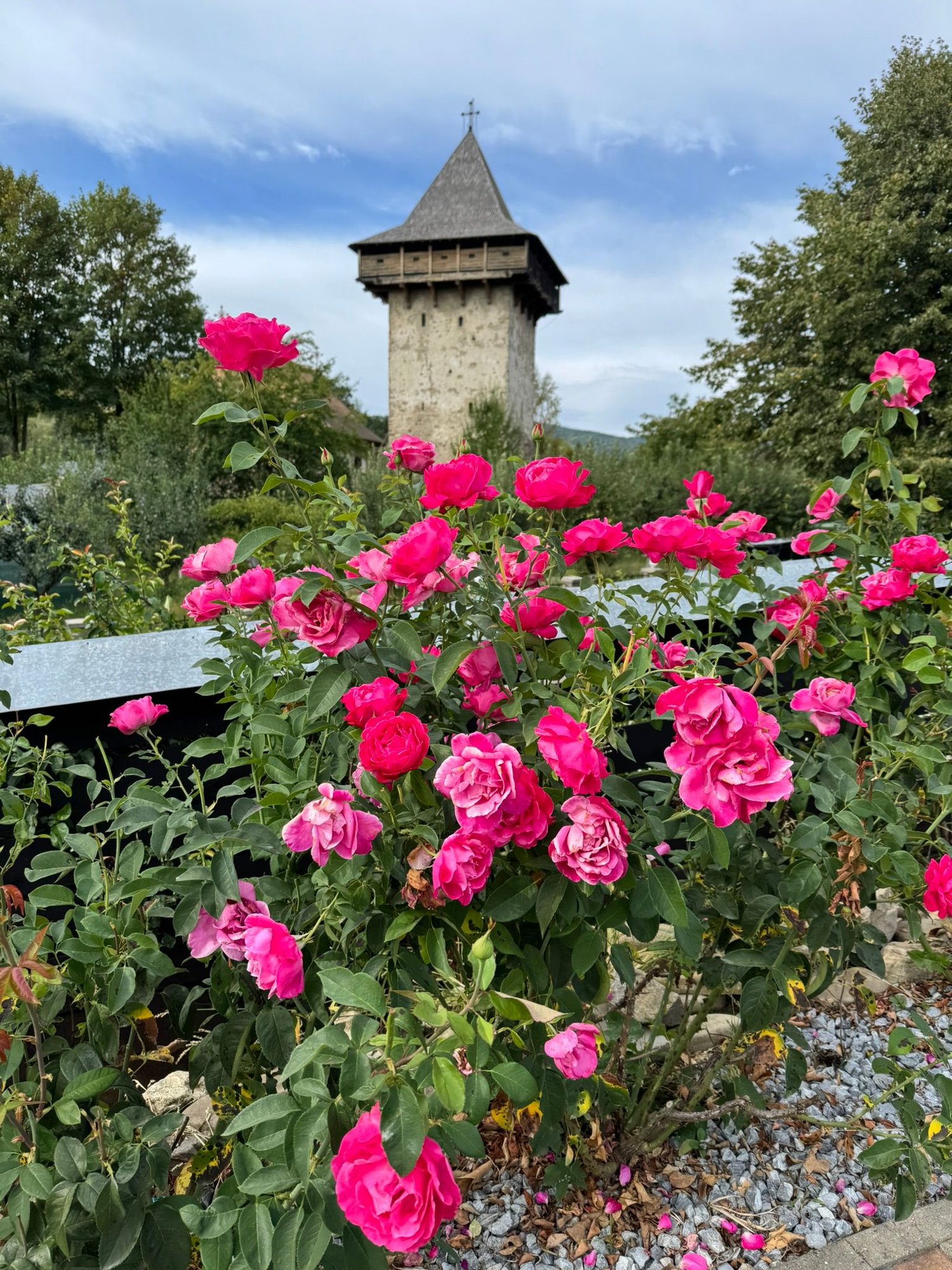 View of one of the spires of the Humor Monastery, the monastery that is being restored. I love this scene with the vibrant pink roses in the foreground. 