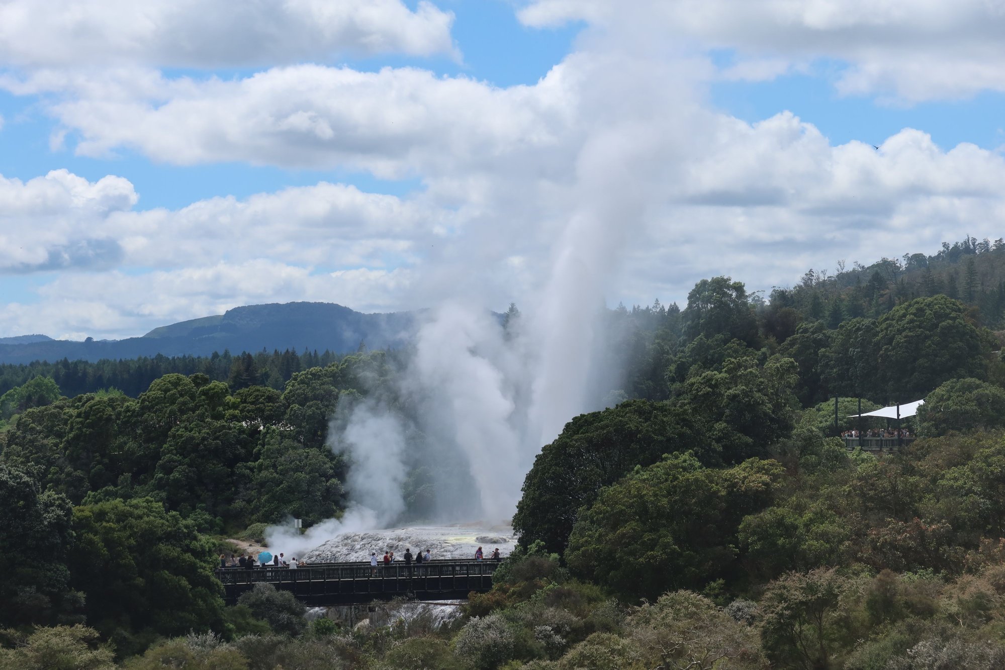 Geysers at Te Puia