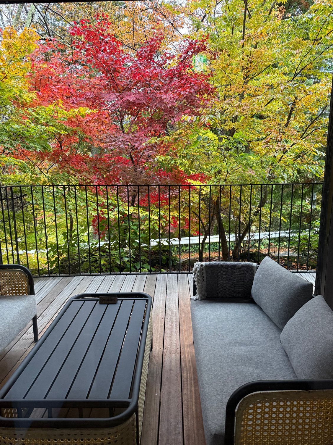 our deck sitting area, unfortunately it was too chilly and intermittently rainy to sit outside