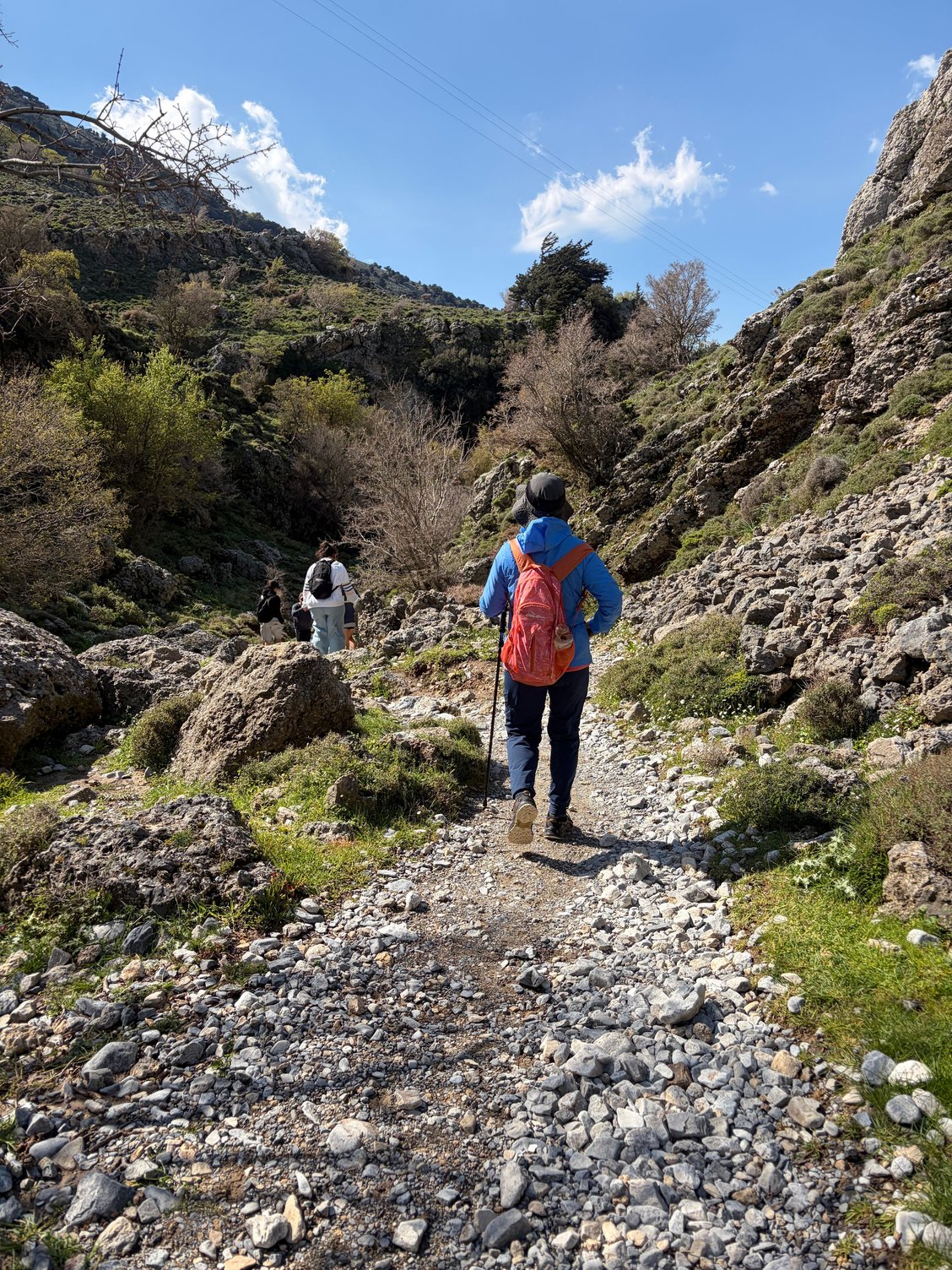 On the trail