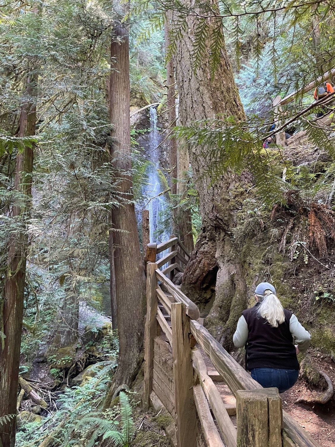 On the trail to the falls.