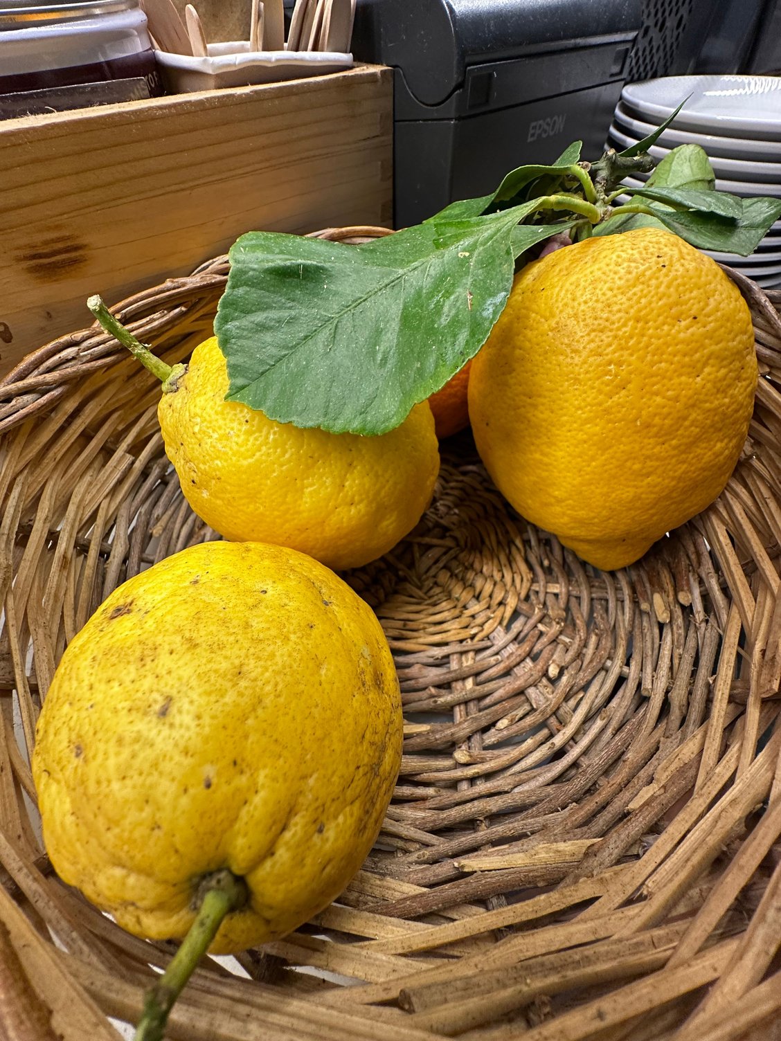 Sorrento lemons
