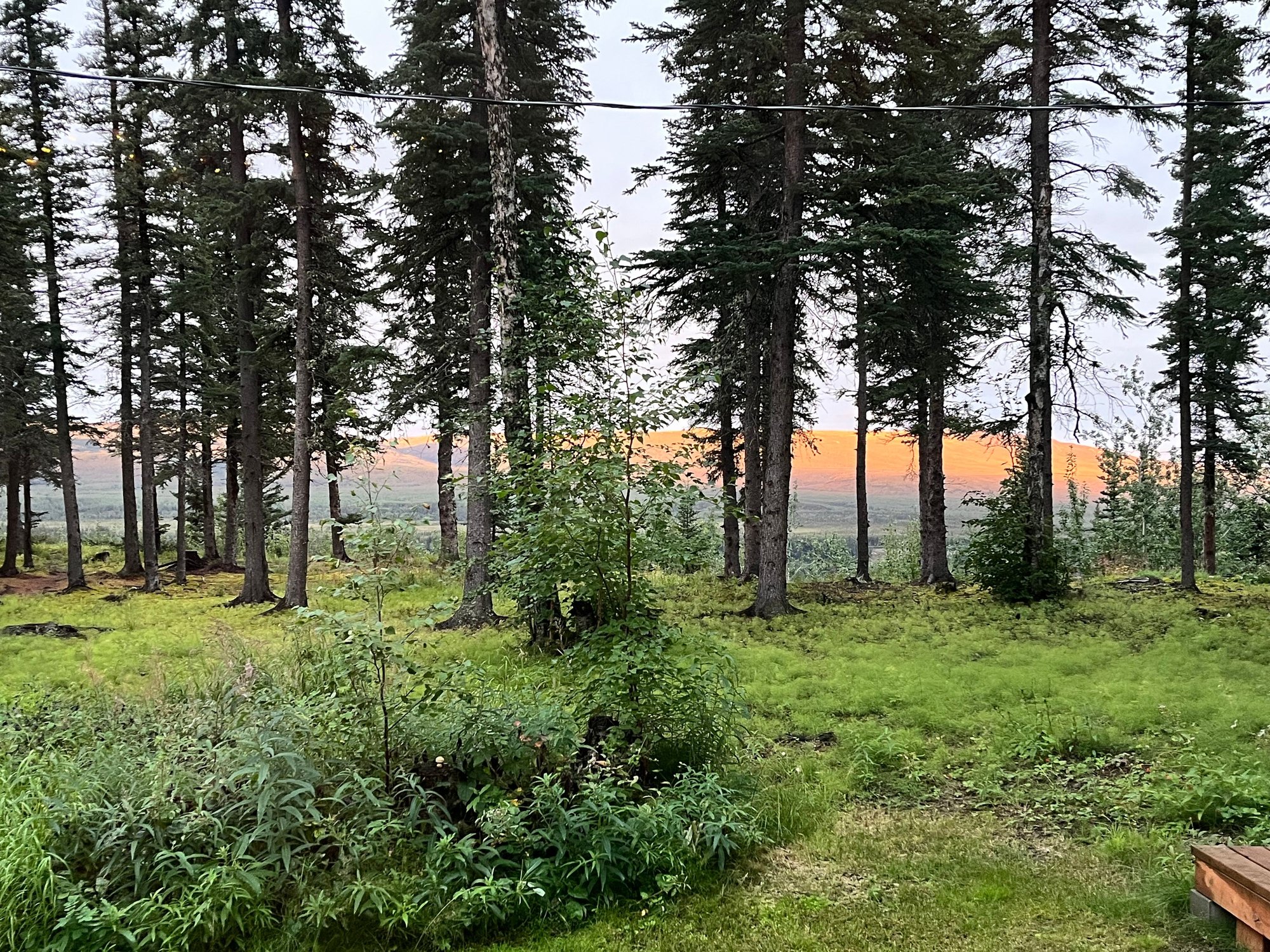 Evening view from our Airbnb... golden sunlight bathing the mountains. Apparently the sun finally came out at 9:50pm 😅