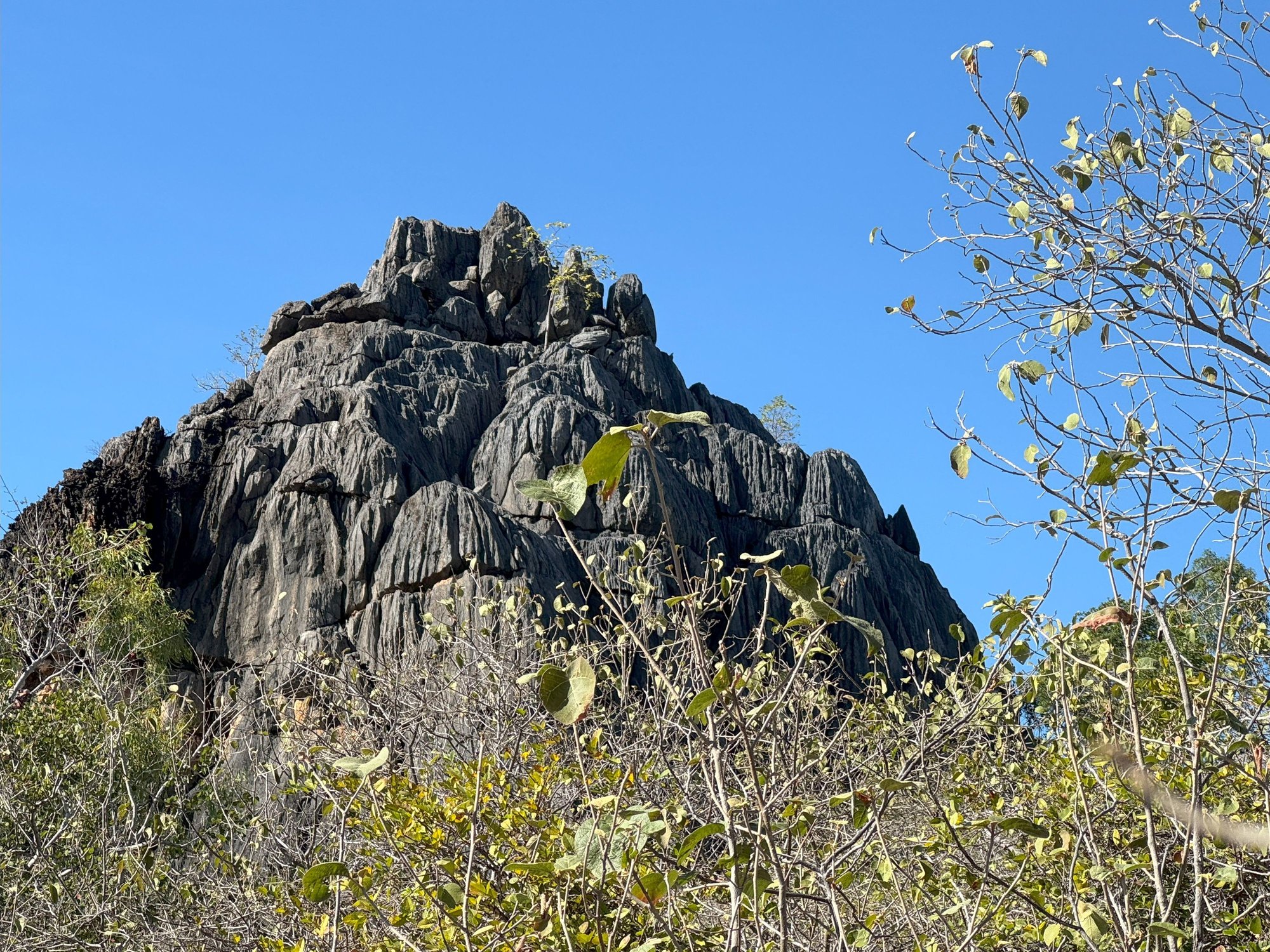 Karst outcropping, Chillagoe