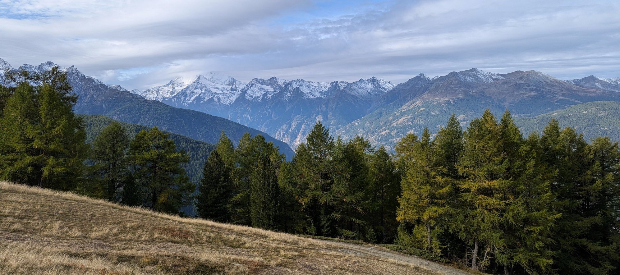 Views from the trail