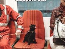 For you Zig. Because you appreciate it so. 