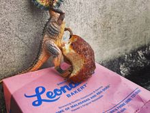 My traveling companion, “Mr. Aloha”, sampling Leonard’s excellent baked goods.🤣