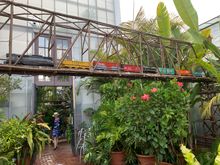 Miniature train in Biltmore conservatory 