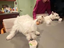 Then happy hour with my brother and sister