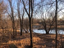 part of the view from my tree stand. I'm not so sure of the wiseness of a babbling river and a 62 year old baldder and prostrate........