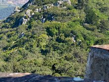 View of the Moorish castle from Pena Palace 