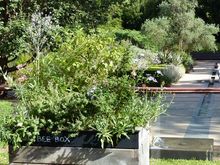 Non ornamental planters. 