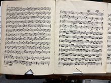  it quite as old as your notebook Michael, but this is my first serious Horn studies book from 1954. I was 13. I saved it because my teacher then was Ranier DeIntinis who was with the NY Philharmonic and I cherish the memory of studying with him and there are faint markings he made in some of the studies. 