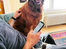 Nathan and Bad Mol working on today’s Wordle 