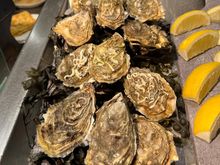 Oysters for breakfast, why not?