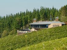 A very nice winery where we tasted and had lunch.