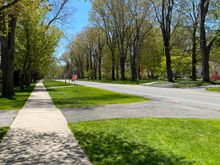 Here is Main Street. I walked two short blocks. Which is a very big deal for me. One small step for you all but a giant step for gruezi. 