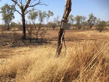 Ha ha ha our sign is still there. 