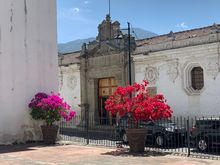 Spring is in full bloom in Antigua.