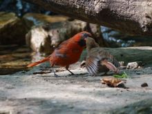 Feeding time!