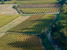Ménerbes overlooking vineyards 