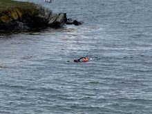 Some brave snorkelers. I also saw a polar bear club of older women. 