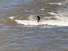 Watching the surfers downtown.  