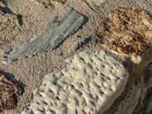 The local stonework reveals different materials, and maybe different epochs.