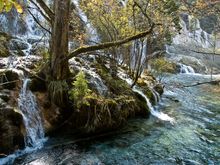 Pearl Shoals waterfalls.