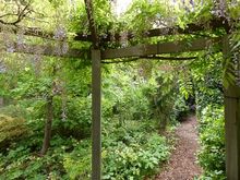 From the wisteria covered gazebo