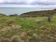 Cold, but pretty, down our street. 