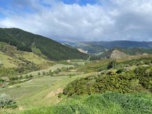 The drive started out dry and got more scenic as we climbed
