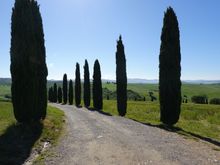 The road leading to the isolated chapel