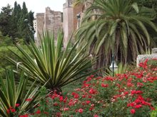 Alcazaba in Malaga
