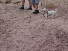The purple looking sand