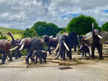 Bacalhôa Buddha Eden