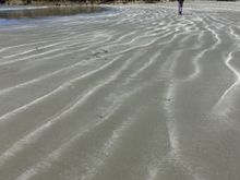 Vancouver Island where beaches stretch forever 