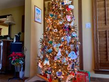 Our Angel tree